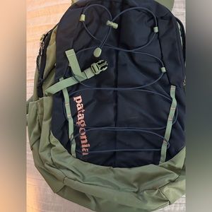Patagonia sage green and navy backpack